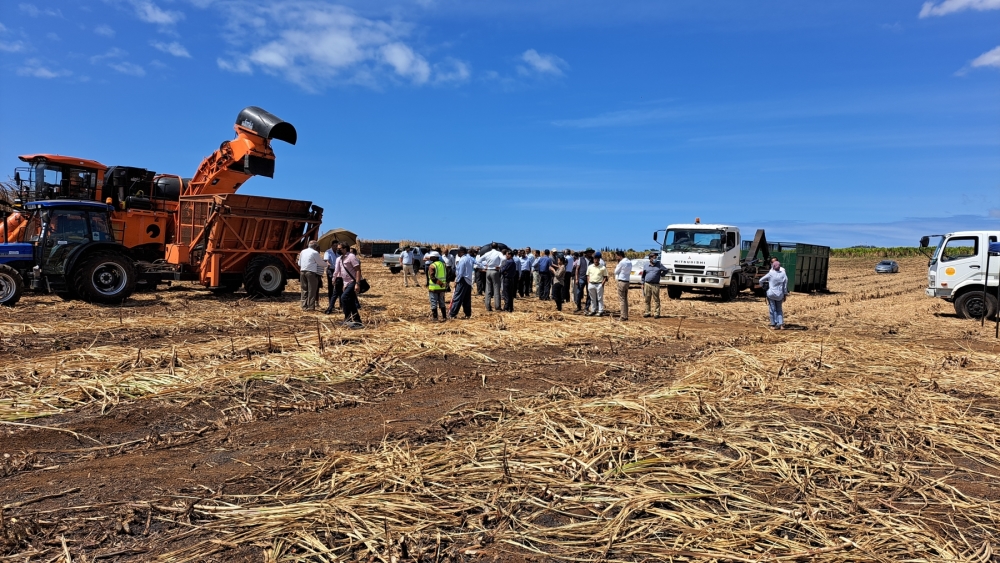 Phase II of the Mechanical Sugarcane Harvest Project