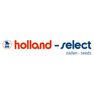 holland select