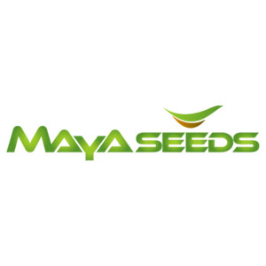 maya seeds