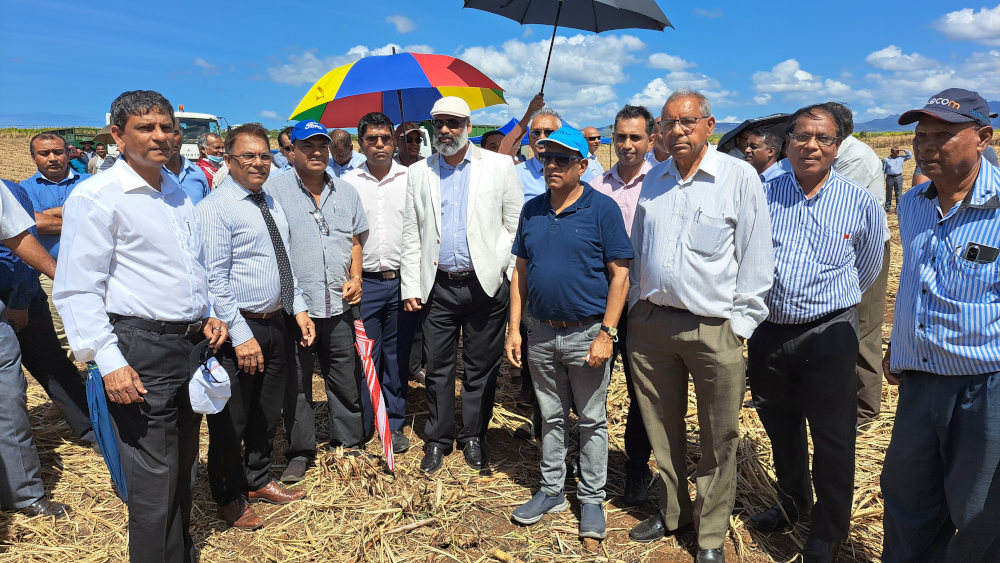 Mechanical Sugarcane Harvest Project (Phase II), 14 September 2022
